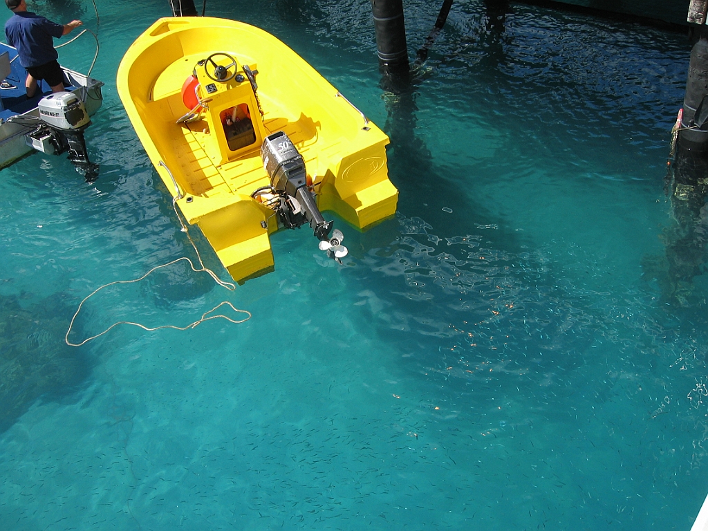147 Fitzroy Island.jpg